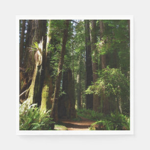 Redwoods and Ferns at Redwood National Park Napkin