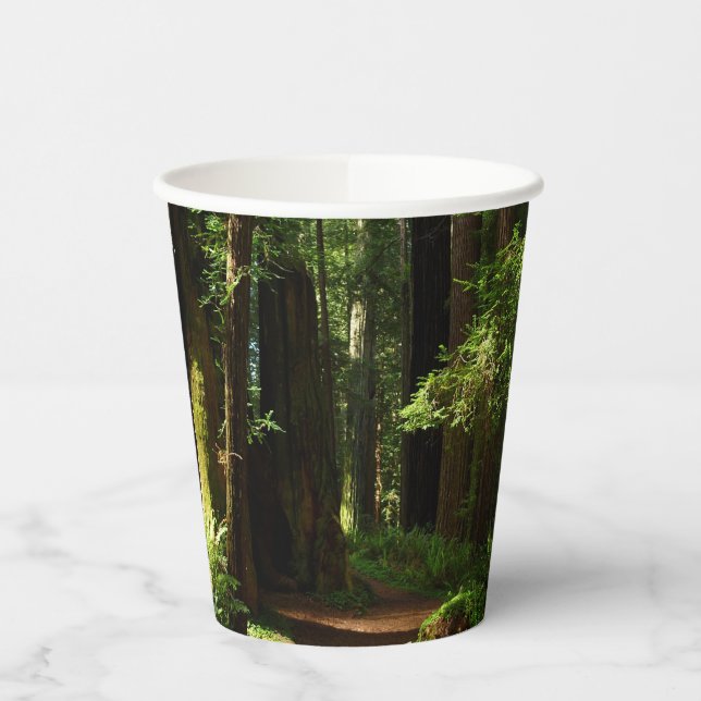 Redwoods and Ferns at Redwood National Park Paper Cups (Left)