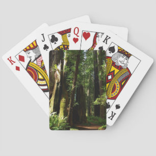 Redwoods and Ferns at Redwood National Park Playing Cards