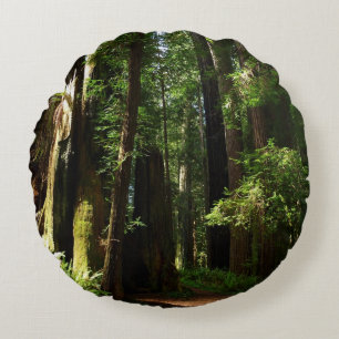 Redwoods and Ferns at Redwood National Park Round Pillow