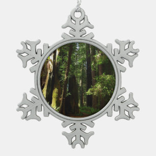 Redwoods and Ferns at Redwood National Park Snowflake Pewter Christmas Ornament