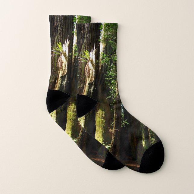 Redwoods and Ferns at Redwood National Park Socks (Pair)