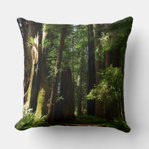 Redwoods and Ferns at Redwood National Park Throw Pillow