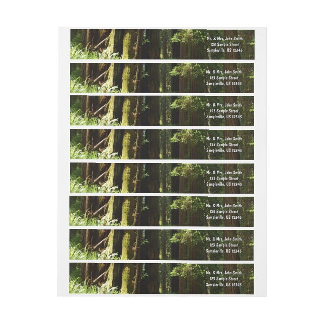 Redwoods and Ferns at Redwood National Park Wrap Around Label (Sheet)