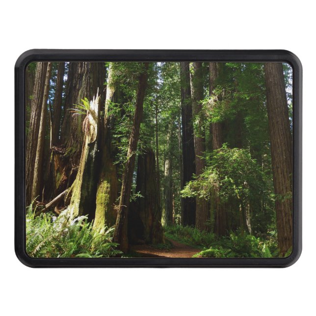 Redwoods and Ferns Trailer Hitch Cover (Front)