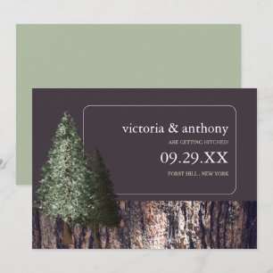 Redwoods & Bark, Rustic Wedding Save the Date