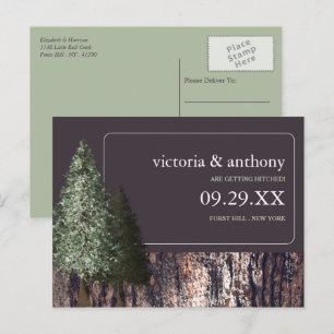 Redwoods & Bark, Rustic Wedding Save the Date Announcement Postcard
