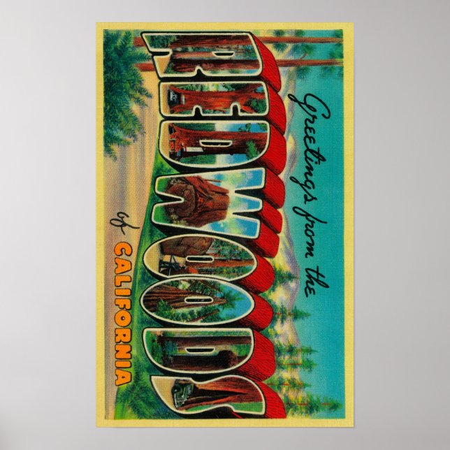 Redwoods, California - Large Letter Scenes Poster (Front)