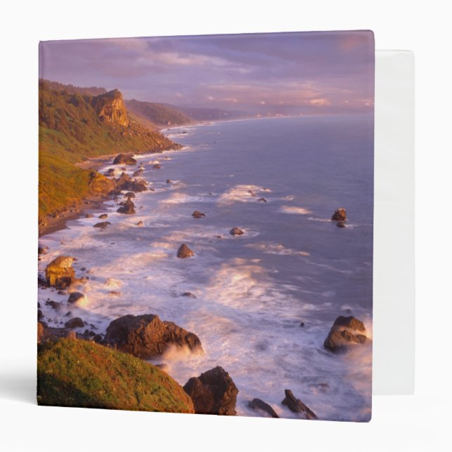 Redwoods coastline, California Binder (Front/Inside)