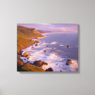 Redwoods coastline, California Canvas Print