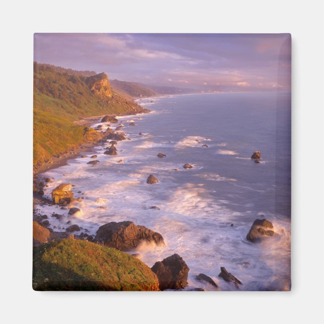 Redwoods coastline, California Magnet (Front)