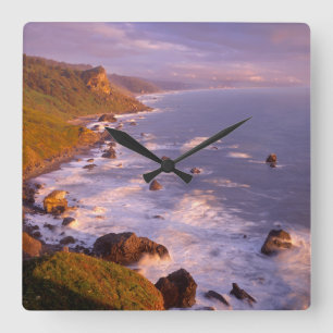 Redwoods coastline, California Square Wall Clock