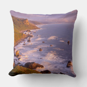 Redwoods coastline, California Throw Pillow