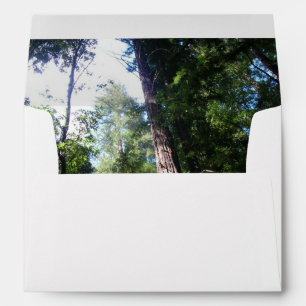 Redwoods Envelope