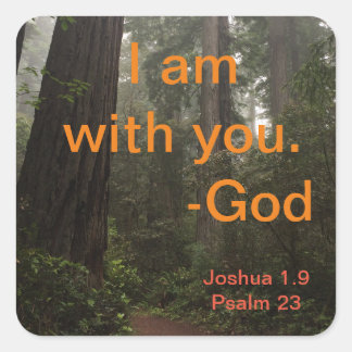 Redwoods Hiking Trail Square Sticker