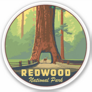 Redwoods National Park