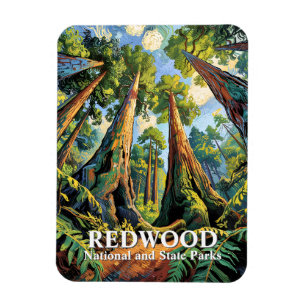 Redwoods National Park California Van Gogh Custom Magnet