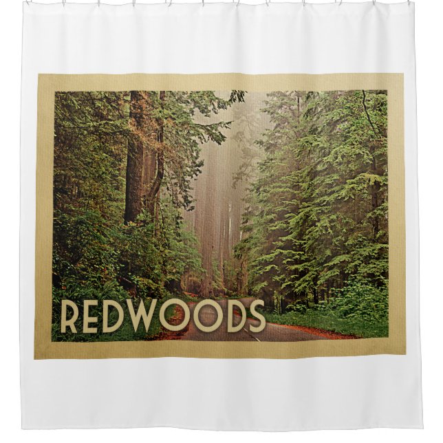 Redwoods National Park California Vintage Travel (Front)