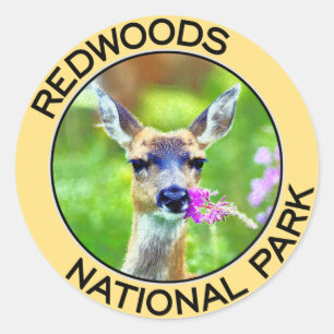 Redwoods National Park Classic Round Sticker