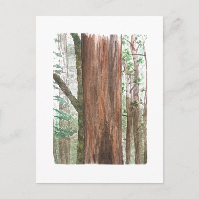 redwoods postcard (Front)
