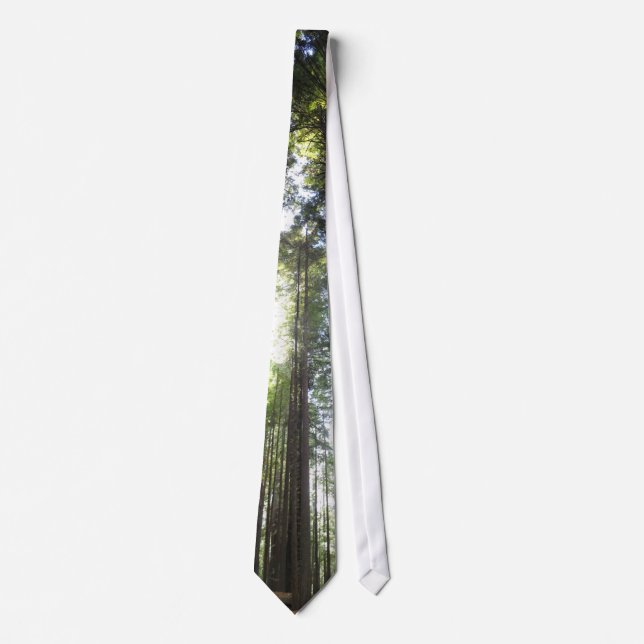 Redwoods Tie (Front)