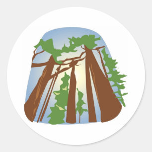 Redwoods with Sunshine Classic Round Sticker