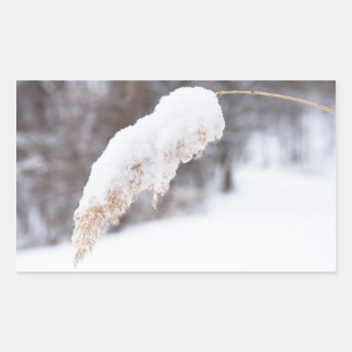 reed in snow sticker