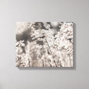 Reed Nature Photo Canvas Print