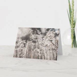 Reed Nature Photo Card