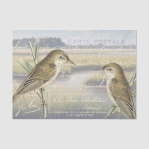 Reed Warbler Bird Marsh French Script Decoupage Tissue Paper