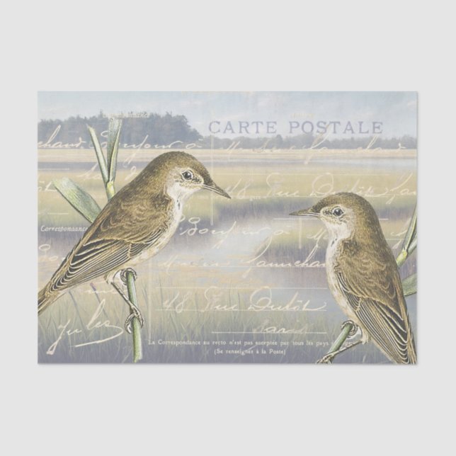 Reed Warbler Bird Marsh French Script Decoupage    Tissue Paper (Front)