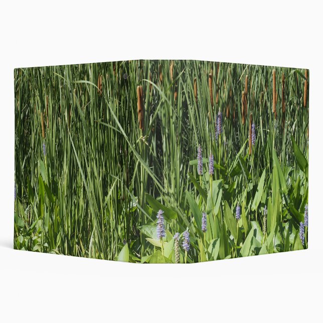 Reeds Binder (Background)