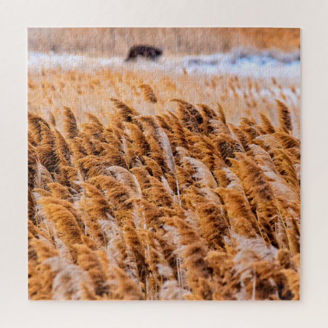 Reeds of Antelope Island, Utah - 20x20 - 676 pcs. Jigsaw Puzzle (Vertical)