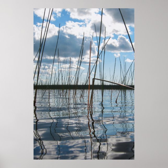 Reeds on Rice Lake – Upper Peninsula Poster (Front)