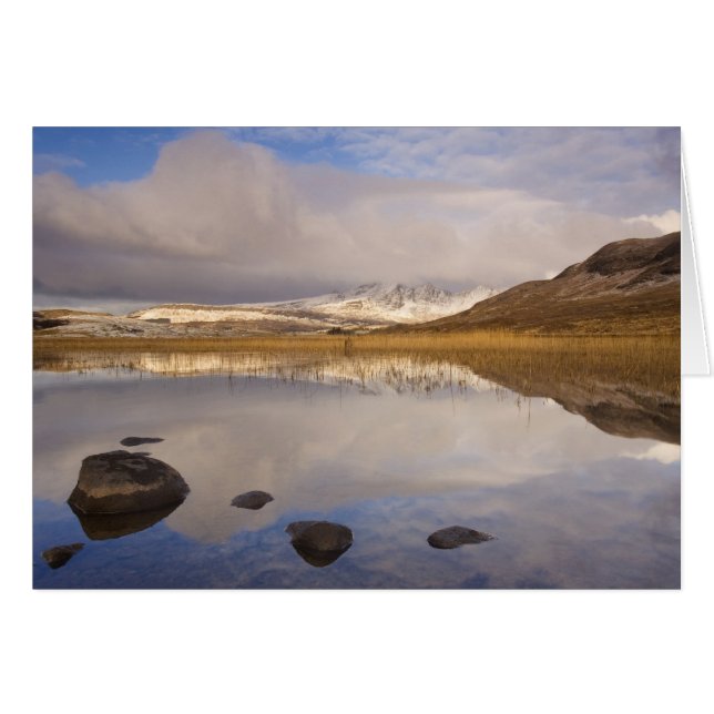 Reeds on Skye (Front Horizontal)