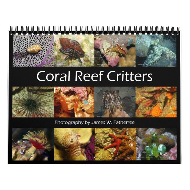 Reef Critters Wall Calendrier par J.W. Patrie. (Protection)