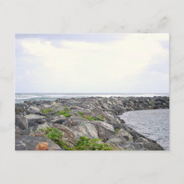 Reef_Dorado PR Postcard (Front)