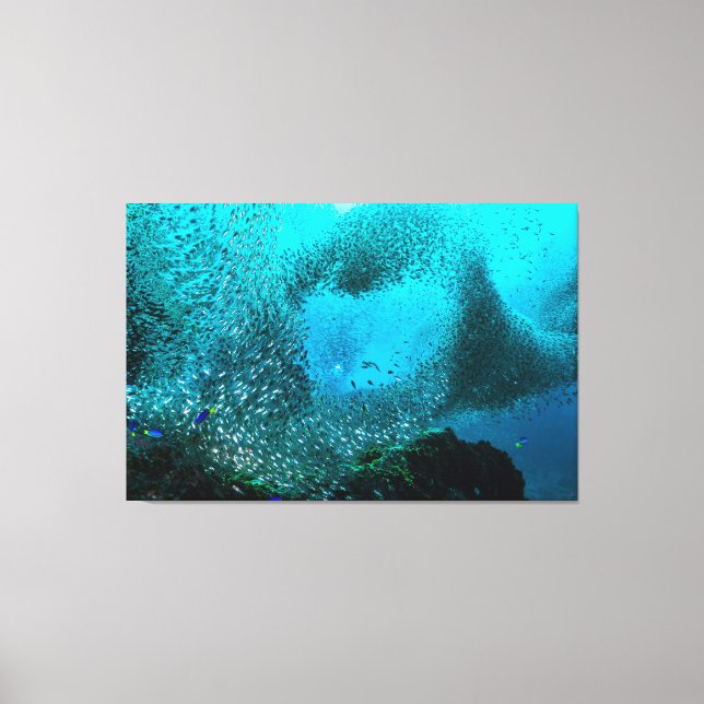 Reef Fish Cloud Canvas Print (Front)