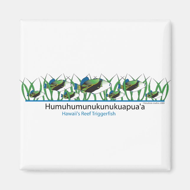 Reef-Fish- Magnet (Front)