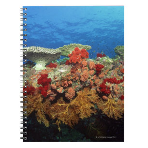 Reef of Corals Notebook
