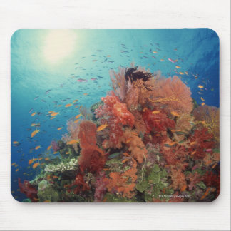 Reef scenic of hard corals , soft corals 2 mouse pad