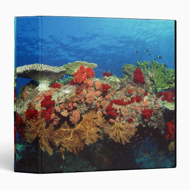 Reef scenic of hard corals , soft corals binder (Front/Spine)
