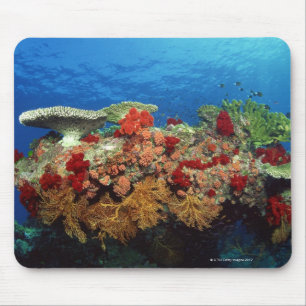 Reef scenic of hard corals , soft corals mouse pad