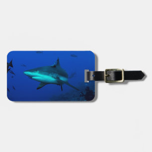 Reef Shark Luggage Tag
