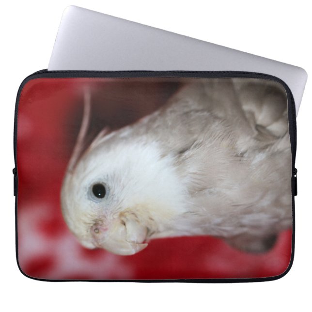 Reeples Laptop Sleeve (Front)
