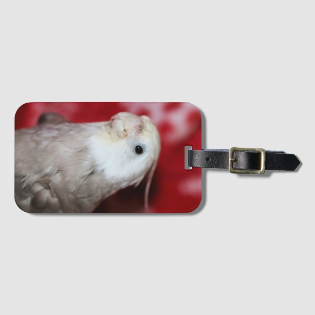 Reeples Luggage Tag (Front Horizontal)