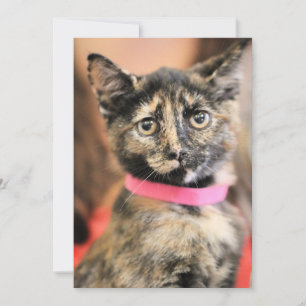 Reese Holiday Card