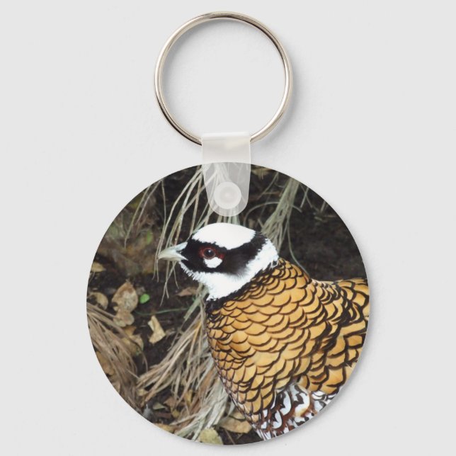 Reeve's Pheasant Keychain (Front)
