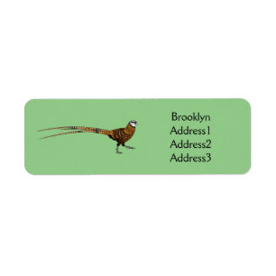 Reeves's pheasant bird cartoon illustration