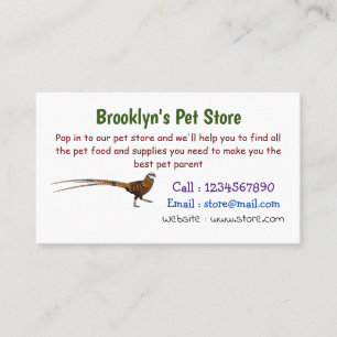 Reeves's pheasant bird cartoon illustration business card